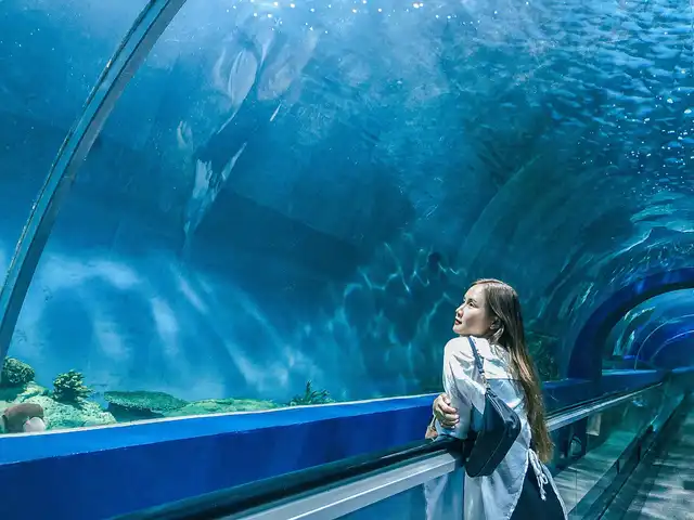 BangSaen Aquarium ไปดูปลากับเราไหม