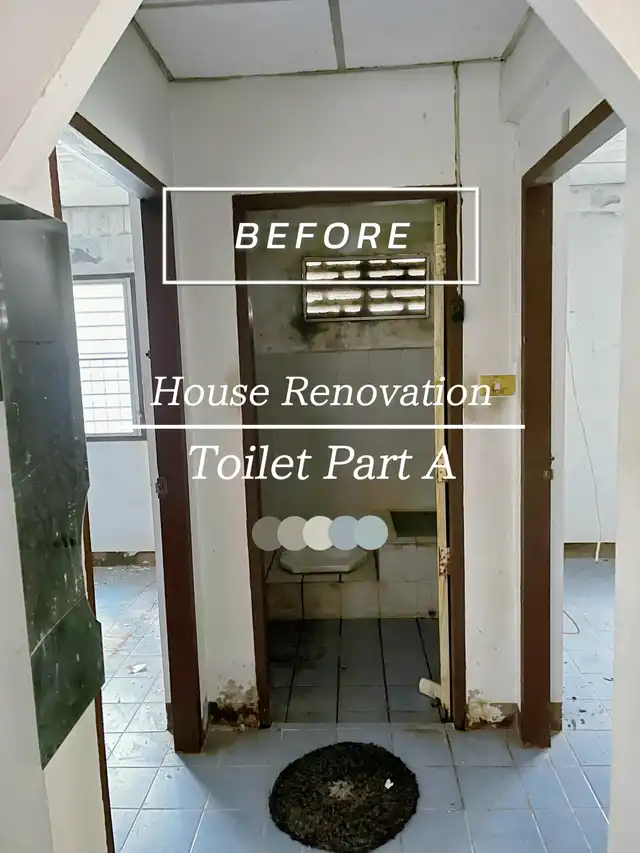 Toilet Renovation